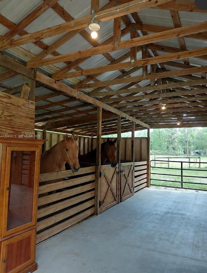 A horse stable with two stalls, wooden walls, and a concrete floor under a roof — 14810 NW 185 ST, Ocala FL 32696, OCALA, FL
