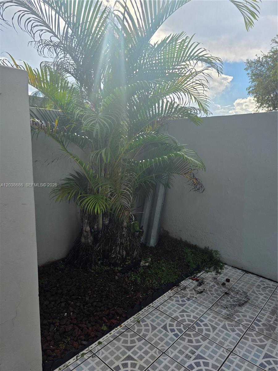 A palm tree grows in a small garden bed next to a tiled patio area — 8000 SW 152nd Ave # 115, Miami FL 33193, MIAMI, FL