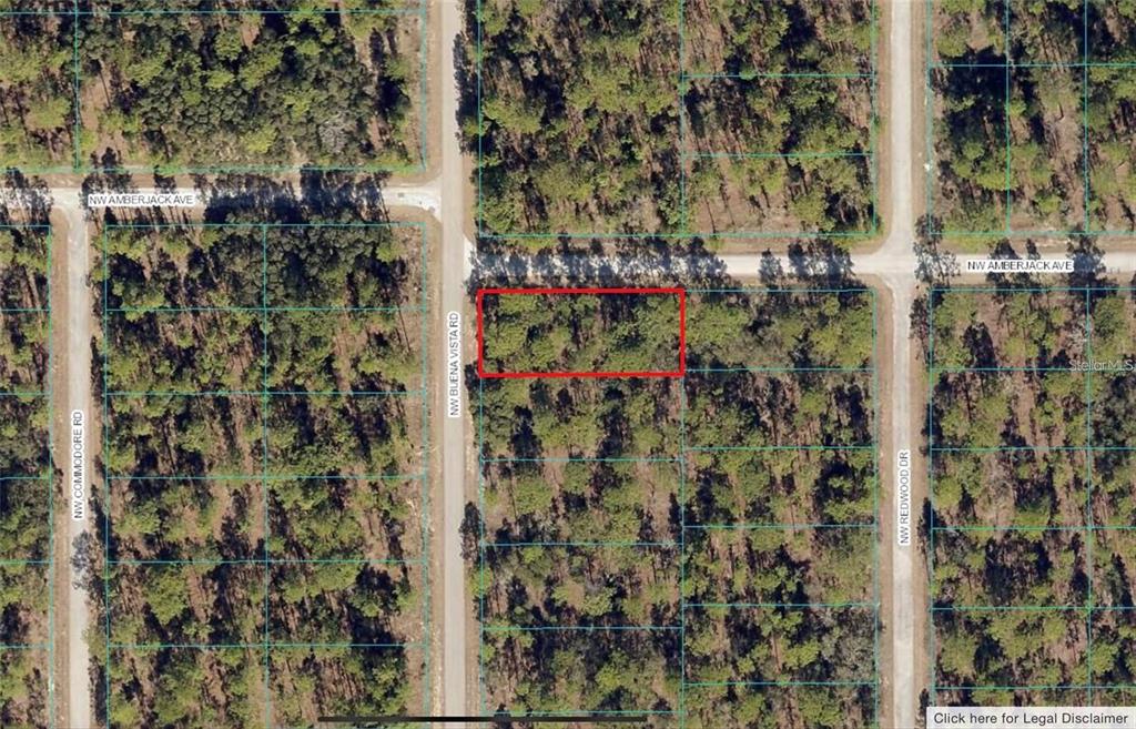 An aerial map view shows a rectangular plot of land outlined in red — 00 SW BUENA VISTA ROAD, DUNNELLON, FL
