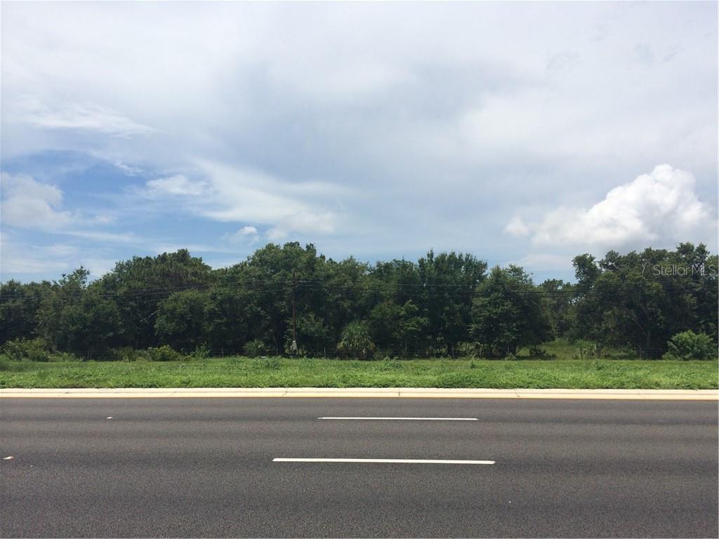 A view of a vacant, grassy lot bordered by trees behind a paved road — 11769 S 301 US HIGHWAY S, RIVERVIEW, FL