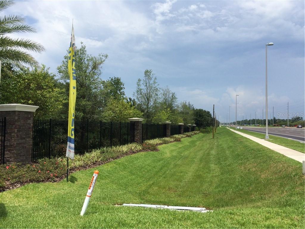 A black metal fence runs along a grassy roadside next to a paved street — 11769 S 301 US HIGHWAY S, RIVERVIEW, FL