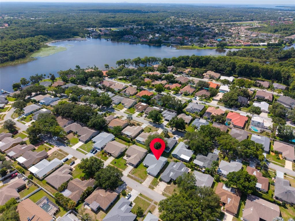 An aerial view shows a residential neighborhood with a red pin marking a specific house — 3960 TARPON POINTE CIRCLE, PALM HARBOR, FL