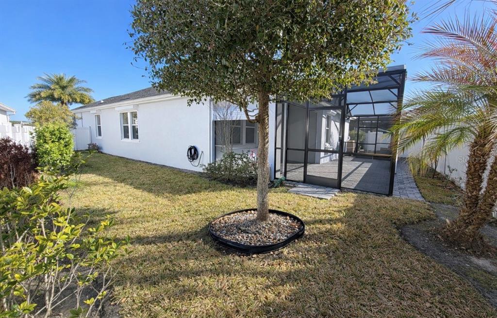 A backyard view of a white house with a screened-in patio and a small tree — 4638 TERRY TOWN DRIVE, KISSIMMEE, FL