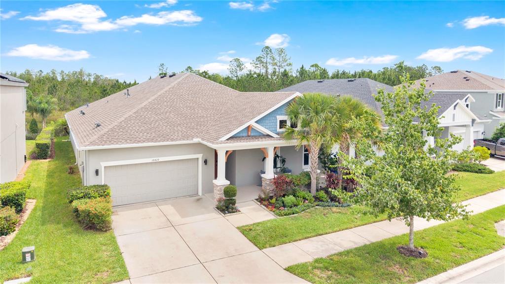 An exterior view of a single-story suburban house with a garage and a palm tree — 16429 FREHLEY RUN, LAND O LAKES, FL