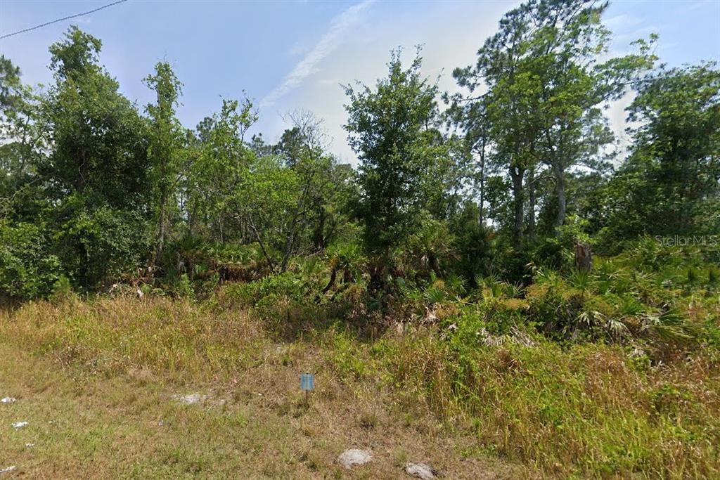 A wooded, undeveloped lot features dense trees, shrubs, and a small sign in the foreground — 8433 CAPILLA STREET, SEBRING, FL