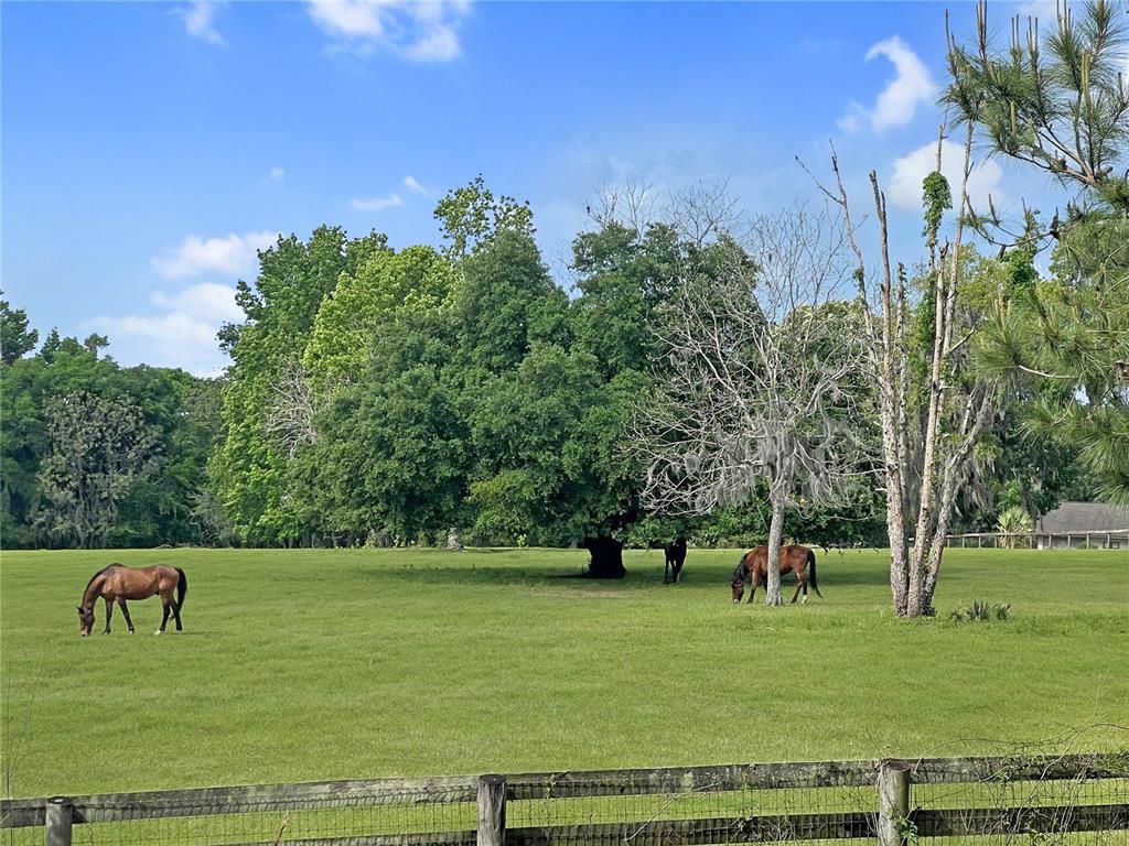 5378 W HIGHWAY 329, REDDICK, FL — photo 2 of 7