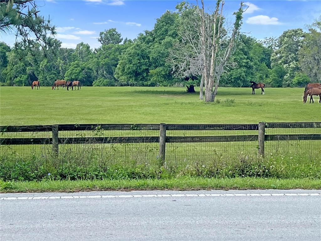 5378 W HIGHWAY 329, REDDICK, FL — photo 3 of 7