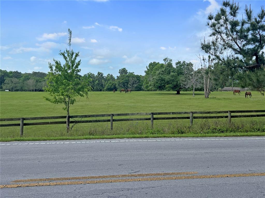 5378 W HIGHWAY 329, REDDICK, FL — photo 4 of 7
