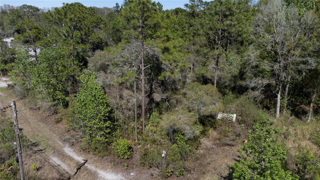 An aerial view shows a wooded, undeveloped lot with a dirt path and utility poles — 12934 TANNER ROAD, NEW PORT RICHEY, FL