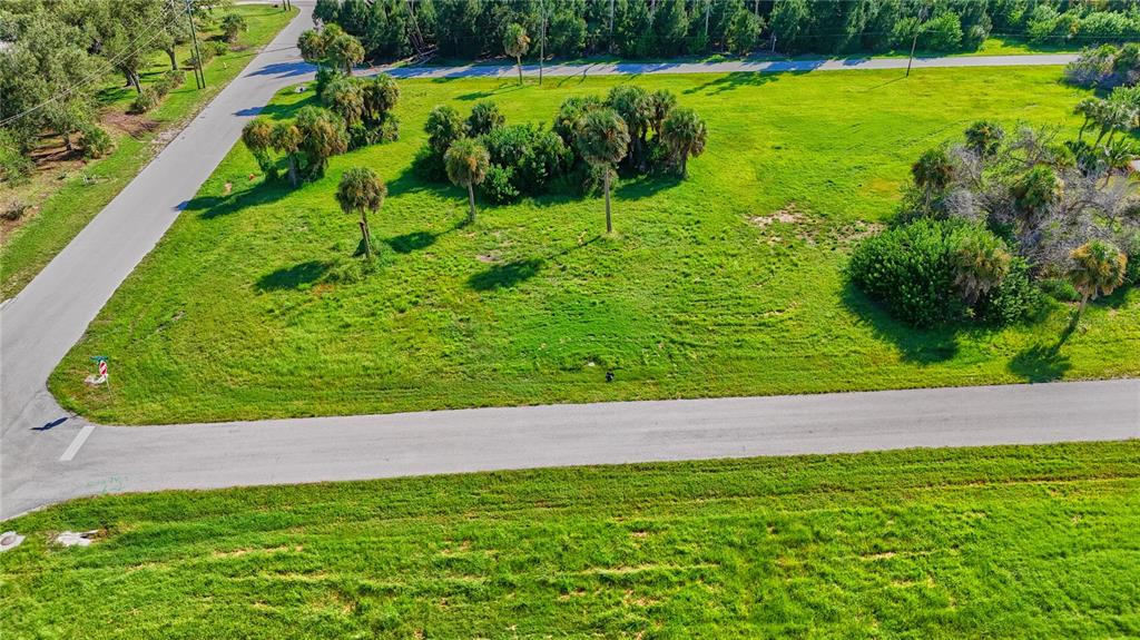 An aerial view shows a grassy, undeveloped corner lot with scattered palm trees and shrubs — 141 POMPANO STREET, PLACIDA, FL