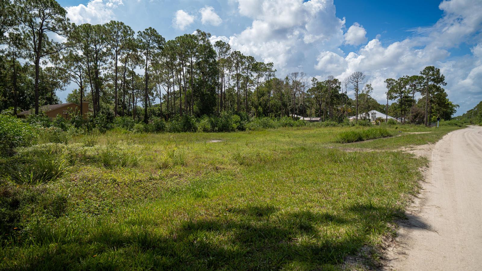A grassy, undeveloped lot sits next to a dirt road with trees in the background — 0 129th Terrace N, FL 33478, FL