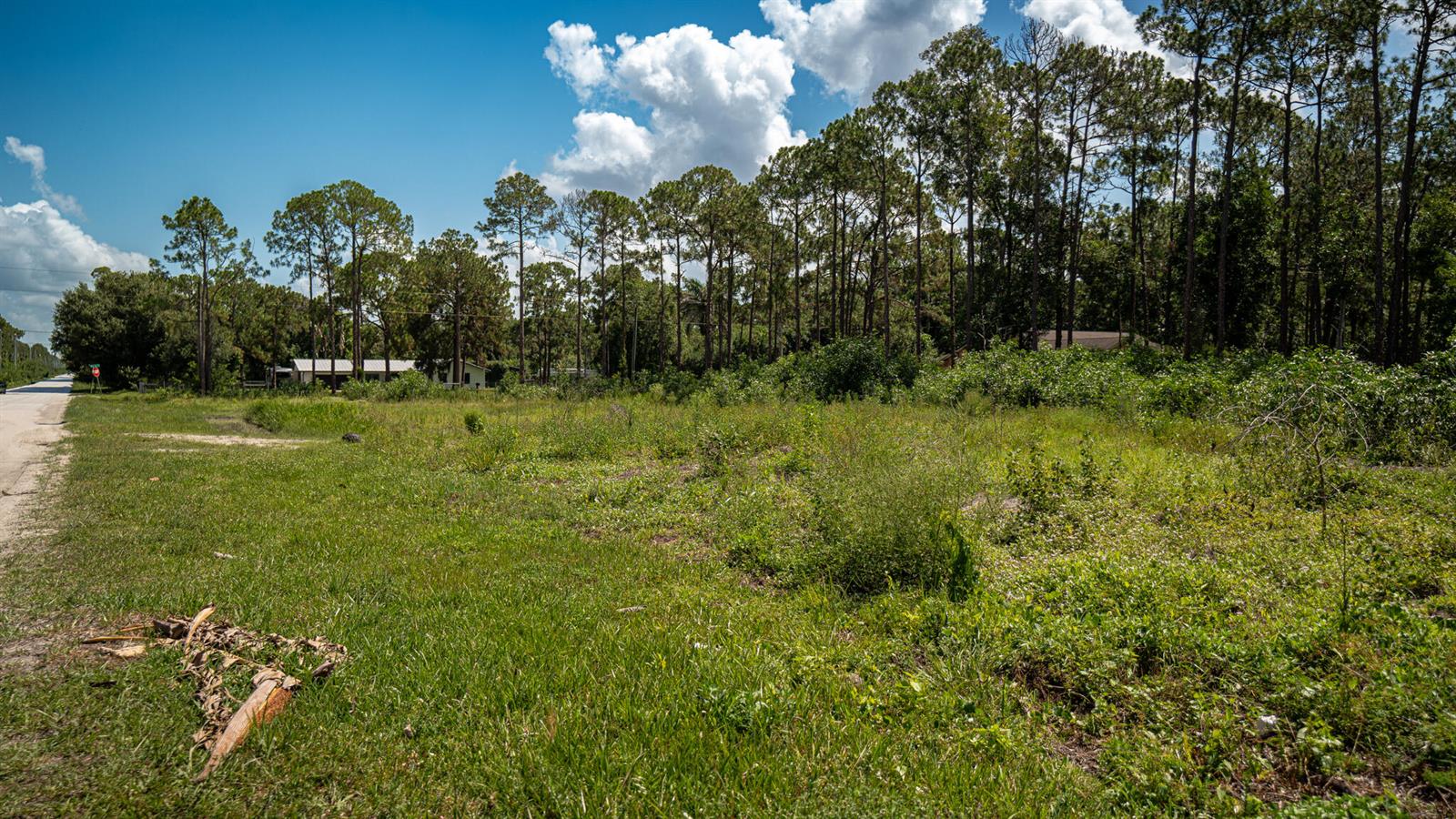 A grassy, undeveloped lot sits beside a paved road with a forest in the background — 0 129th Terrace N, FL 33478, FL