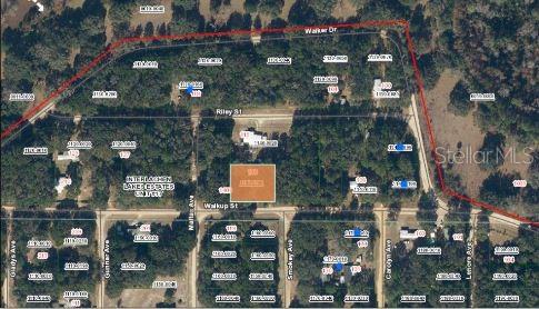 116 WALKUP STREET, INTERLACHEN, FL — photo 4 of 7