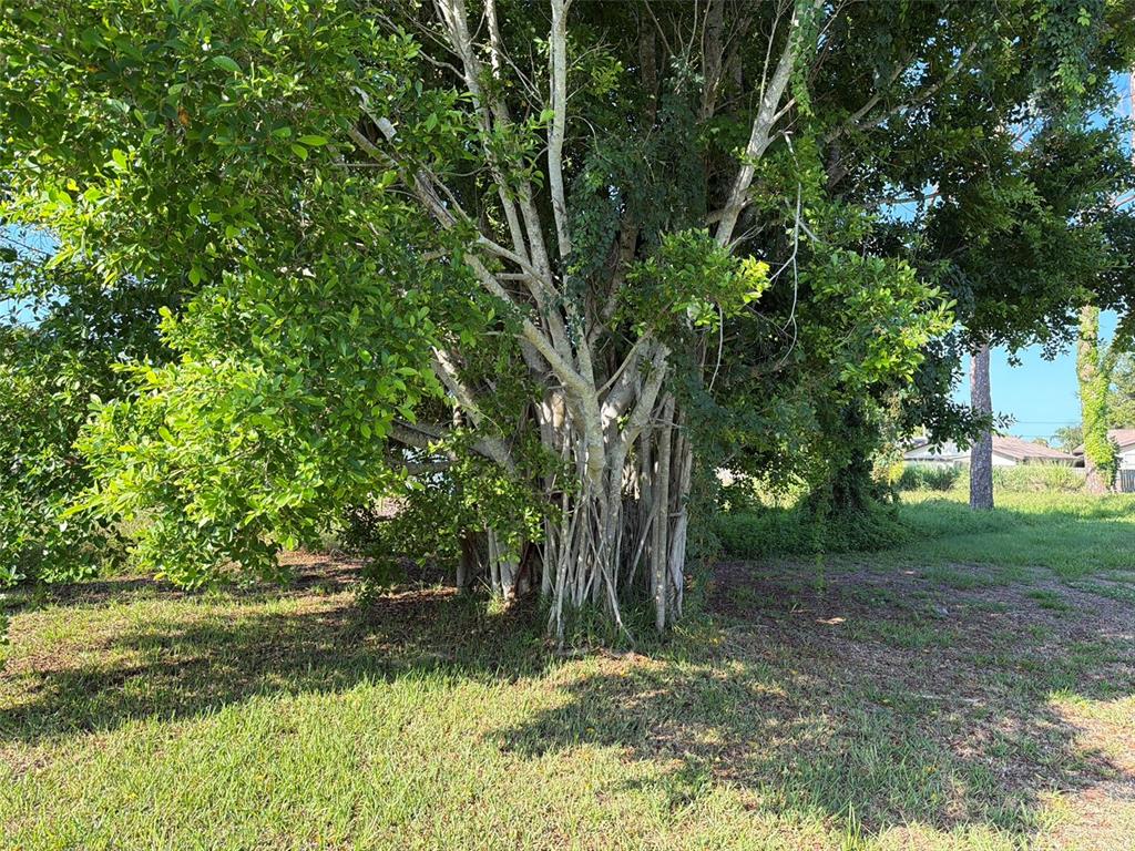 Lot 18 MICHIGAN AVENUE, ENGLEWOOD, FL — photo 4 of 5