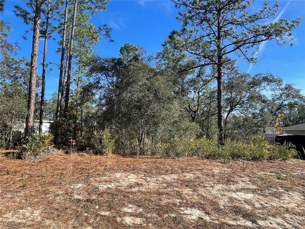 11475 N KENNEY LOOP, DUNNELLON, FL — photo 2 of 5