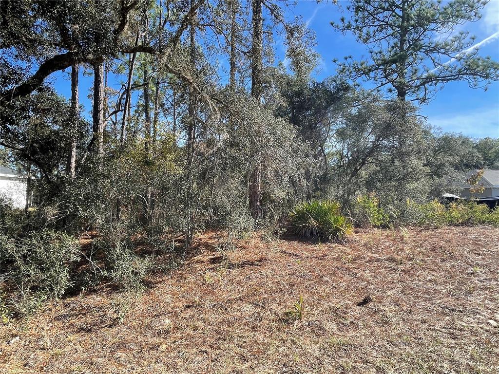 11475 N KENNEY LOOP, DUNNELLON, FL — photo 3 of 5