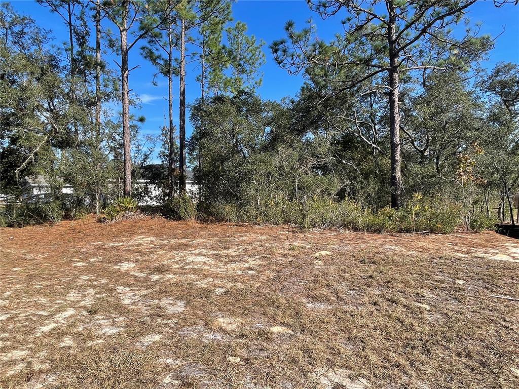 11475 N KENNEY LOOP, DUNNELLON, FL — photo 4 of 5