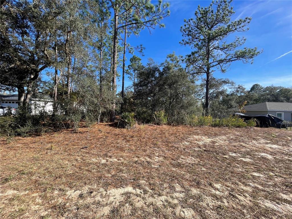 11475 N KENNEY LOOP, DUNNELLON, FL — photo 5 of 5