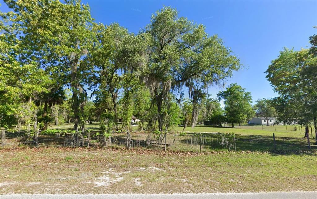 A grassy, fenced lot features several large trees with Spanish moss under a clear sky — 8326 W OAK STREET, CRYSTAL RIVER, FL