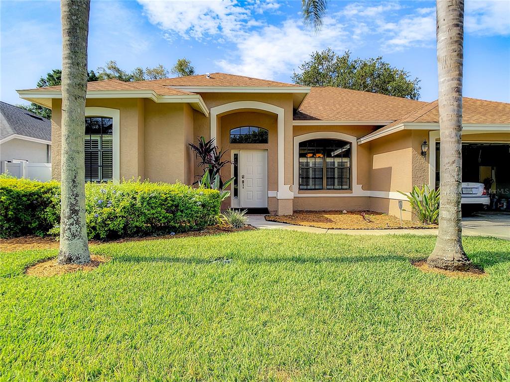 A single-story tan house with a front lawn, two palm trees, and a white door — 2811 BRANCH CREEK AVENUE, CLEARWATER, FL