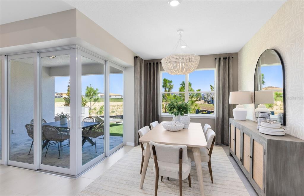 A dining room features a light wood table, upholstered chairs, and a sliding glass door — 33387 BARNEBROOK DRIVE, WESLEY CHAPEL, FL