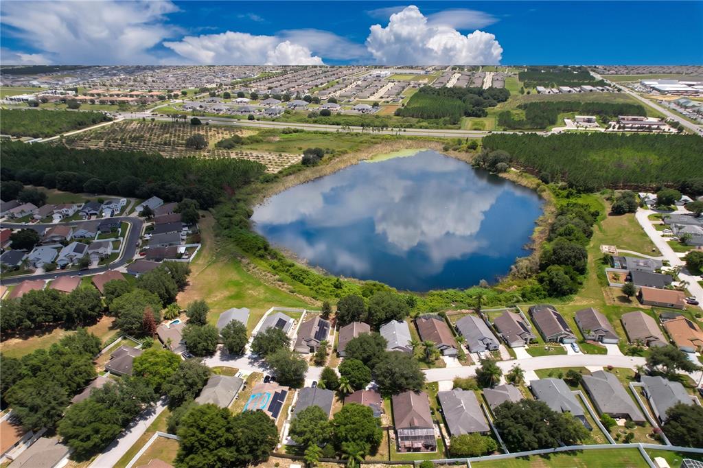 429 HEATHER HILL BOULEVARD, DAVENPORT, FL — photo 4 of 30