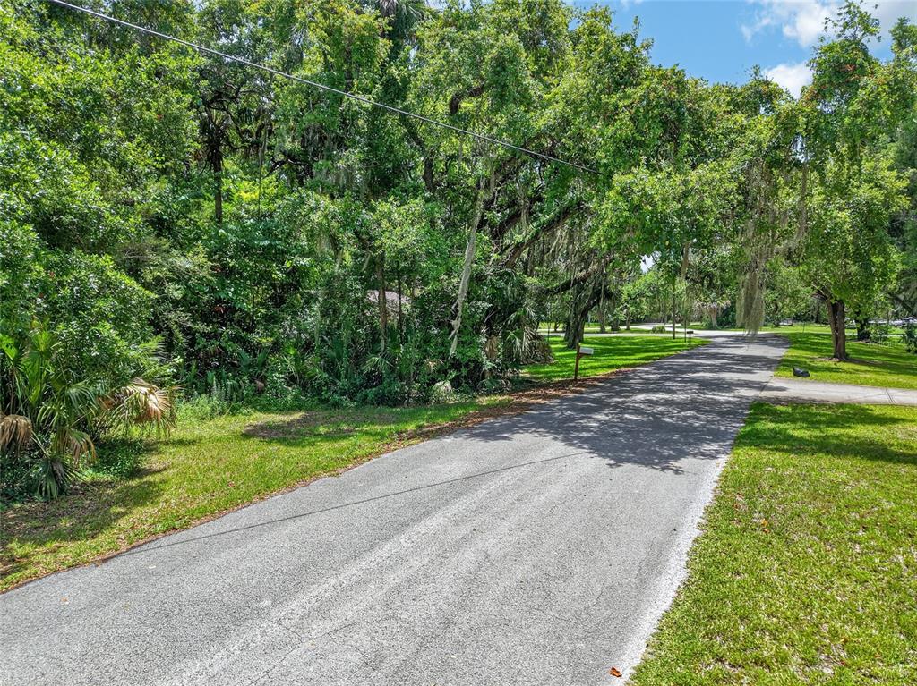 A paved driveway leads toward a wooded area with mature trees and Spanish moss — 0 SW PALM POINT, INGLIS, FL