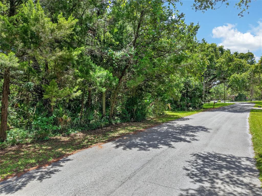 A paved road runs alongside a dense, wooded lot under a clear blue sky — 0 SW PALM POINT, INGLIS, FL