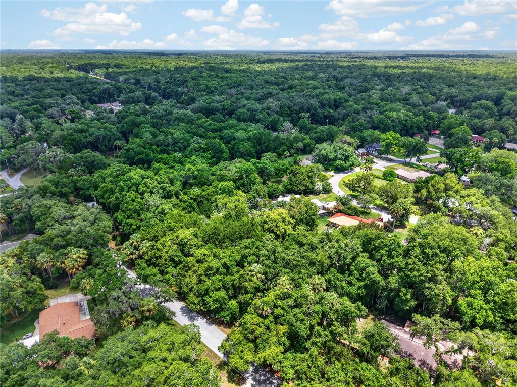 An aerial view shows a residential neighborhood surrounded by dense forest and green trees — 0 SW PALM POINT, INGLIS, FL