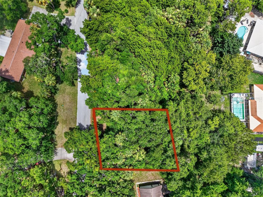 An aerial view shows a rectangular, wooded vacant lot outlined in red next to a road — 0 SW PALM POINT, INGLIS, FL