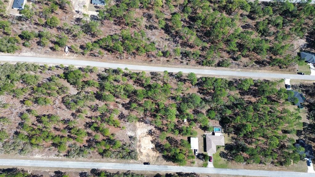 An aerial view shows a wooded residential lot with a house and a cleared area — 24491 NW HEMLOCK AVENUE, DUNNELLON, FL