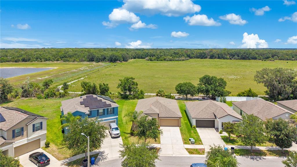 An aerial view shows a row of suburban houses bordering a large, open grassy field — 10116 CARLOWAY HILLS DRIVE, WIMAUMA, FL