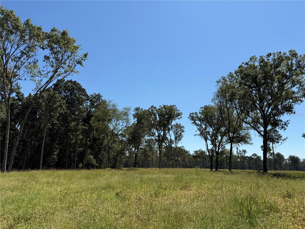 62ac NW 193RD ST, MICANOPY, FL — photo 3 of 8