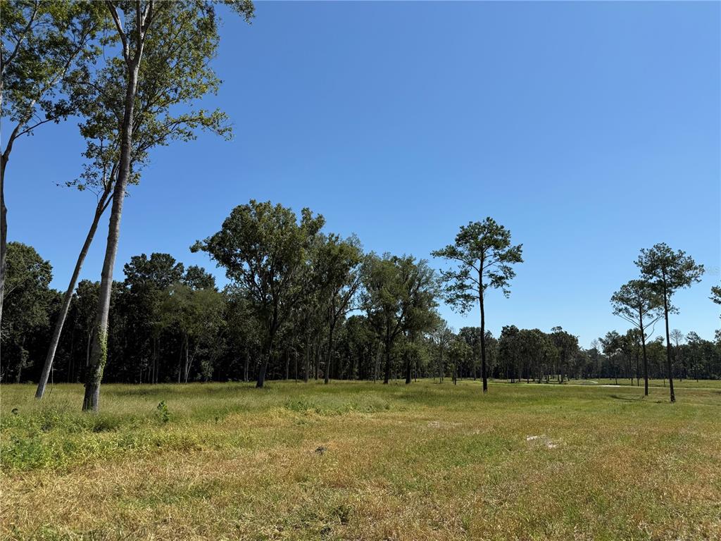 62ac NW 193RD ST, MICANOPY, FL — photo 5 of 8