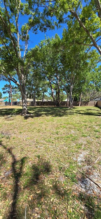 A grassy backyard features several large, mature trees and a wooden privacy fence — 13296 98TH AVENUE N, SEMINOLE, FL