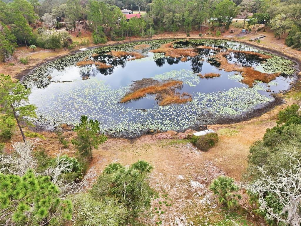 16450 SE 57TH PLACE, OCKLAWAHA, FL — photo 4 of 30