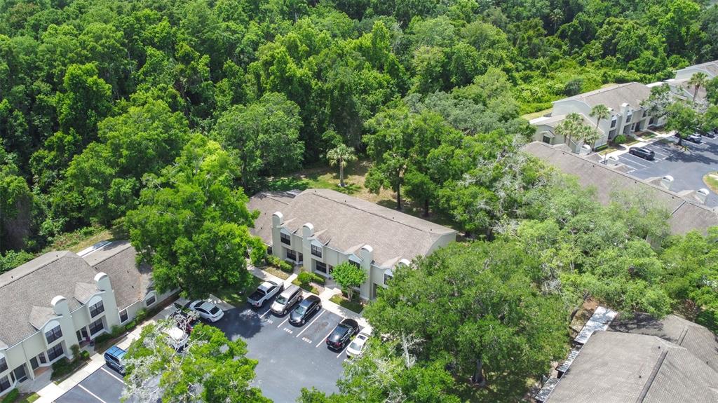 An aerial view shows multi-unit residential buildings surrounded by trees and a parking lot — 5100 BURCHETTE ROAD UNIT 2505, TAMPA, FL