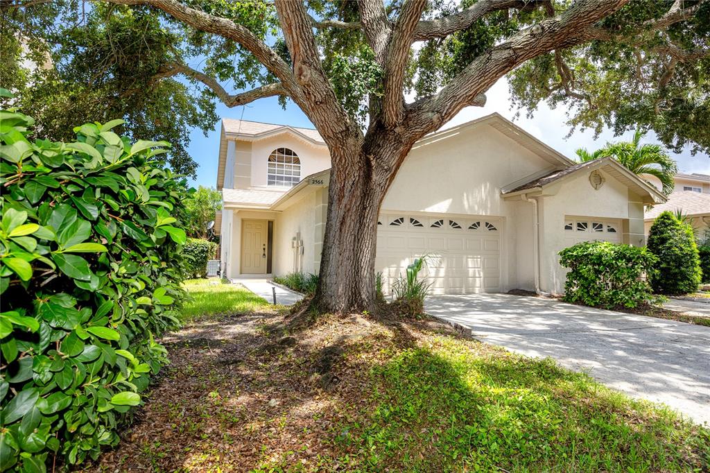 2566 W BROOK LANE