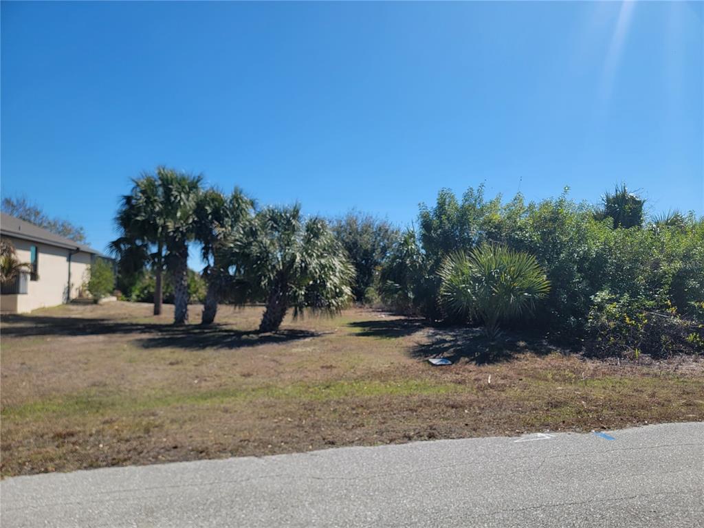 A vacant, grassy residential lot features several palm trees and dense vegetation under a clear sky — 13508 HIGH SPRINGS AVENUE, PORT CHARLOTTE, FL