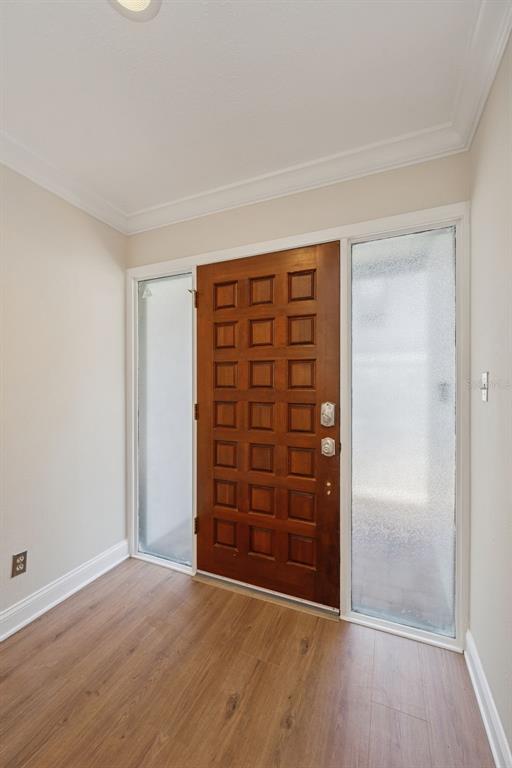 An entryway features a wood-paneled door with sidelights, light-colored walls, and wood-look flooring — 4510 W FIG STREET UNIT C, TAMPA, FL