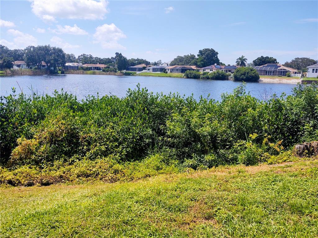 A grassy lawn leads to a dense hedge bordering a lake with distant houses — 619 RIVIERA BAY DRIVE NE, ST PETERSBURG, FL