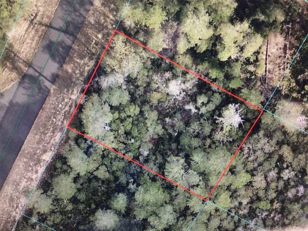 An aerial view shows a rectangular, wooded plot of land bordered by a paved road — 0 SW 169 PLACE, OCALA, FL