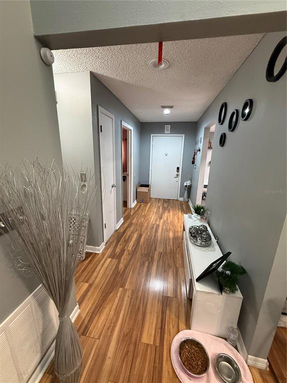 A hallway with wood-look flooring, gray walls, and a white door at the far end — 7015 COGNAC DRIVE UNIT 6, NEW PORT RICHEY, FL