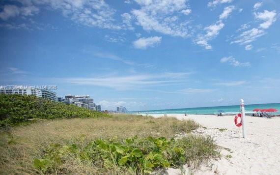 8250 Byron Ave # 404, Miami Beach FL 33141