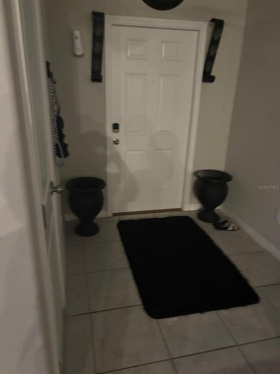 An entryway features a white front door, tiled flooring, and two black decorative urns — 11813 DUMAINE VALLEY ROAD, RIVERVIEW, FL