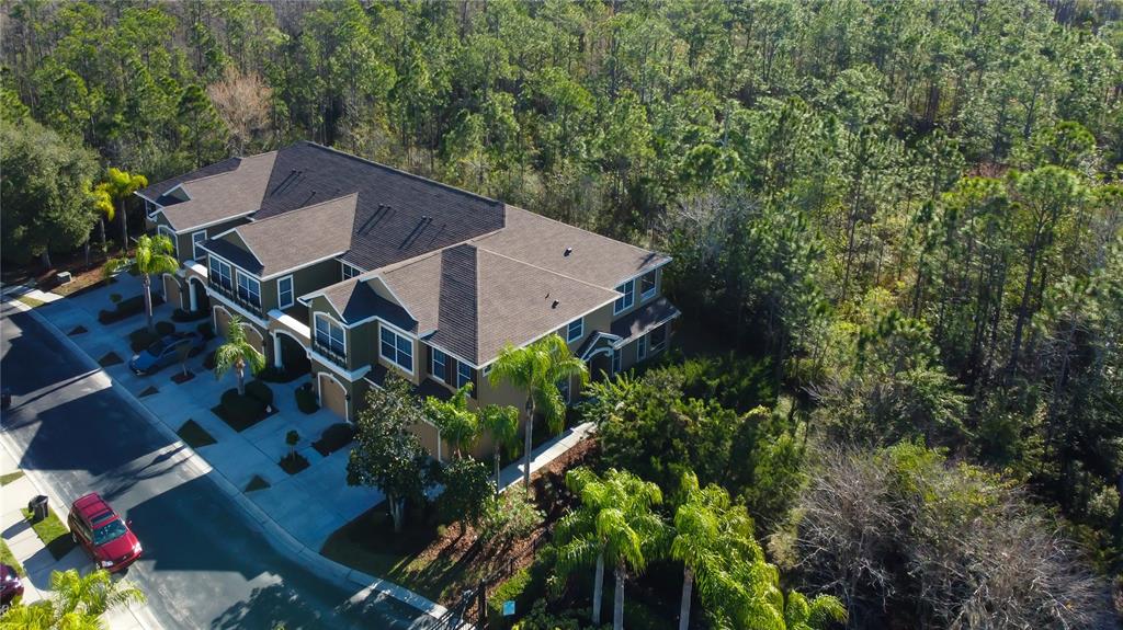 An aerial view of a multi-unit townhouse building surrounded by dense woods and palm trees — 12507 SILVERDALE STREET, TAMPA, FL