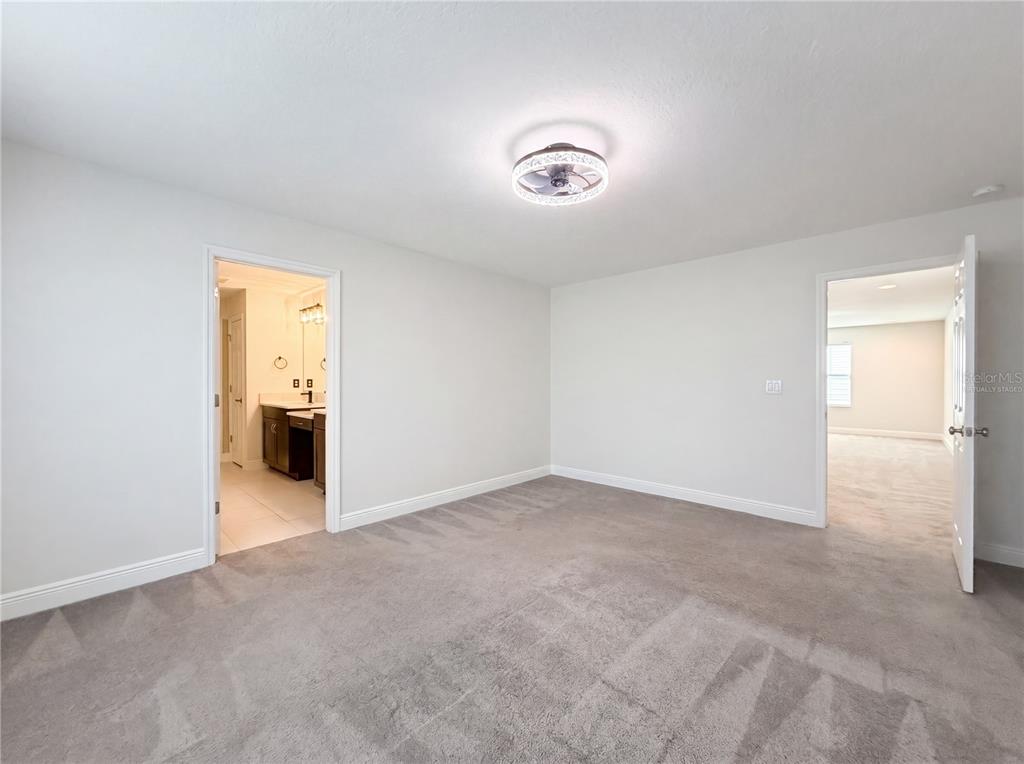 A bedroom with gray carpet, white walls, a ceiling fan, and two open doorways — 12643 HORSESHOE BEND DRIVE, LITHIA, FL