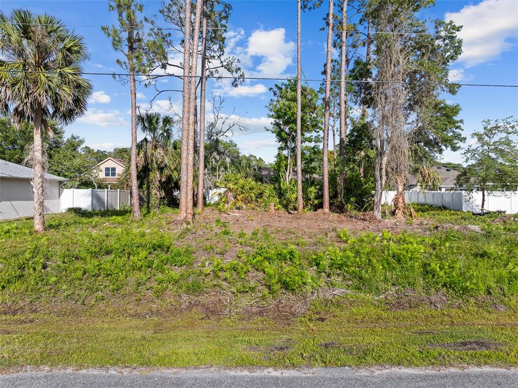 A vacant, grassy residential lot features several tall pine trees and a white vinyl fence — 7 ZEALAND PLACE, PALM COAST, FL