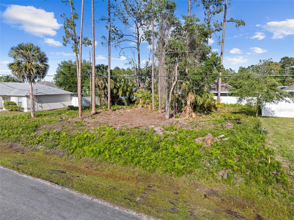 A vacant, grassy residential lot with several tall pine trees and surrounding houses — 7 ZEALAND PLACE, PALM COAST, FL
