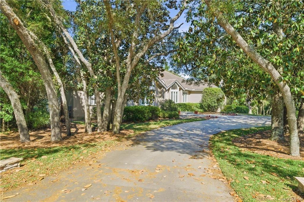 A paved driveway leads to a house partially obscured by large trees and landscaping — 3475 W WILD DUNES PLACE, LECANTO, FL